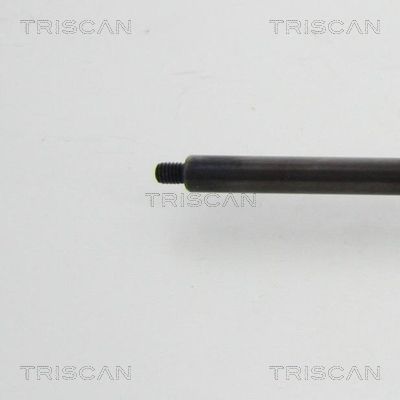 TRIS87101022352600_3.JPG