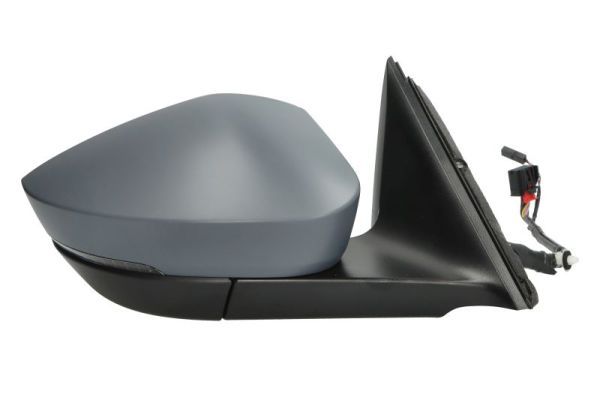 BLIC 5402-43-2355315P Exterior Mirror