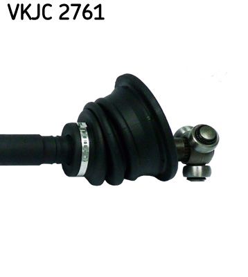 VKJC 2761_3.JPG