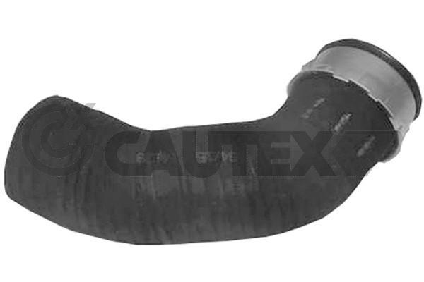 CAUTEX 754463 - Charge Air Hose