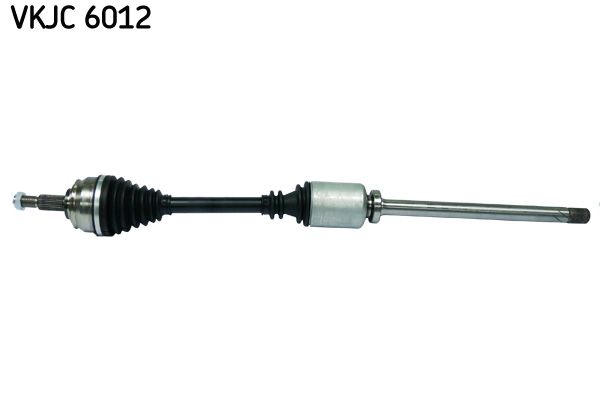 VKJC 6012.JPG