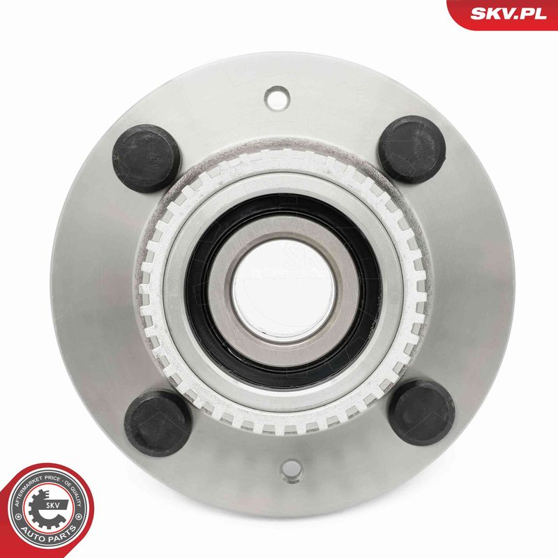 ESEN SKV 29SKV661 Wheel Bearing Kit