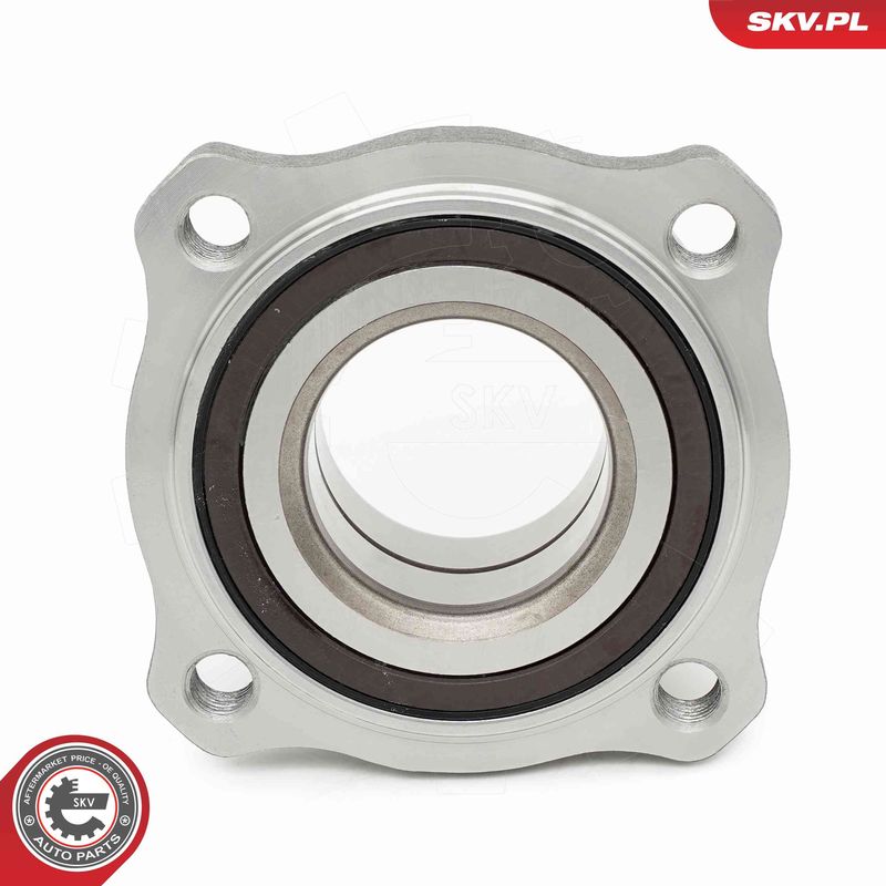 ESEN SKV 29SKV670 Wheel Bearing Kit