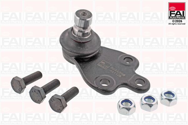 FAI AutoParts Šarnyras / girgždukas