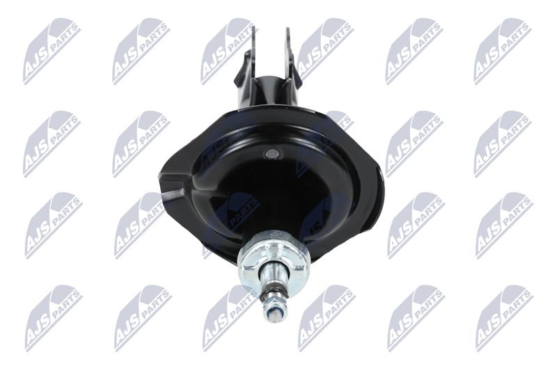 Amort, NTY A-MS-015