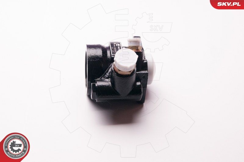 ESEN SKV 1SKV0003 Hydraulic Pump, steering