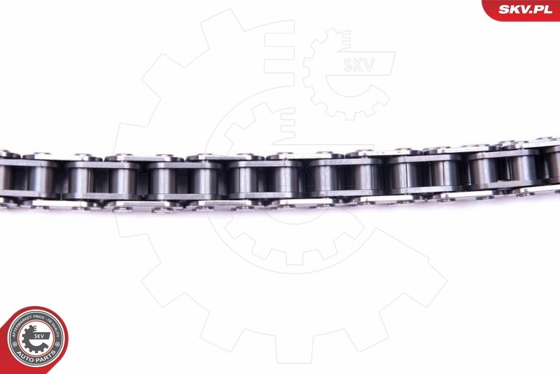 ESEN SKV 21SKV110 Timing Chain Kit