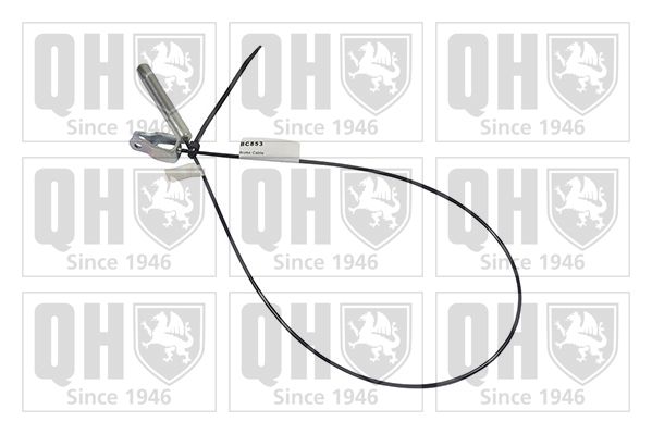 QH_BC853.JPG