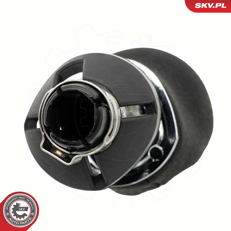 Käigukanginupp, ESEN SKV 63SKV221