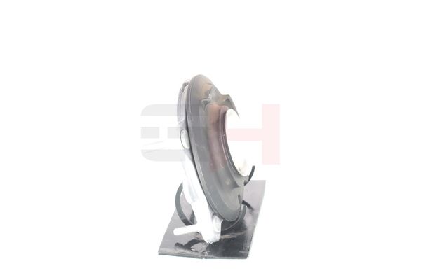 Vedruamordi tugilaager, GH GH-364718