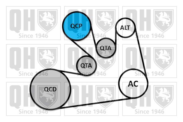 Комплект поліклинових ременів, Quinton Hazell QDK185