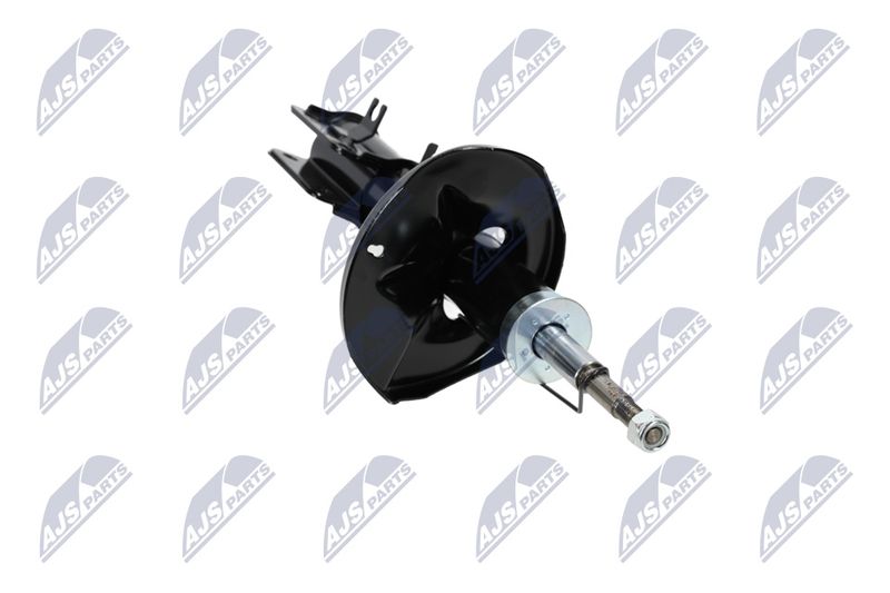 Amort, NTY A-CH-053