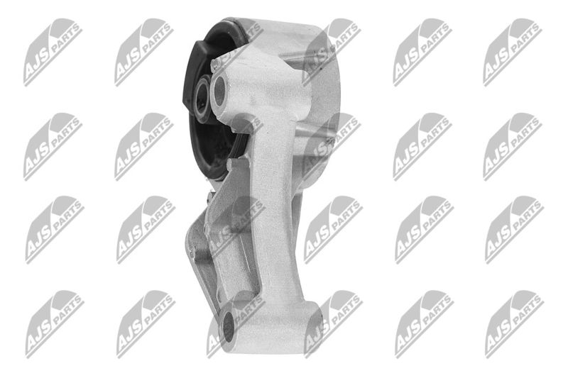 Paigutus, Mootor, NTY ZPS-PL-069
