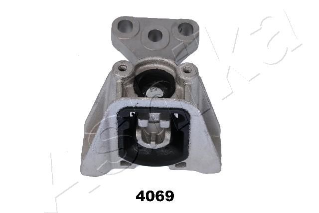 GOM-4069_1.JPG
