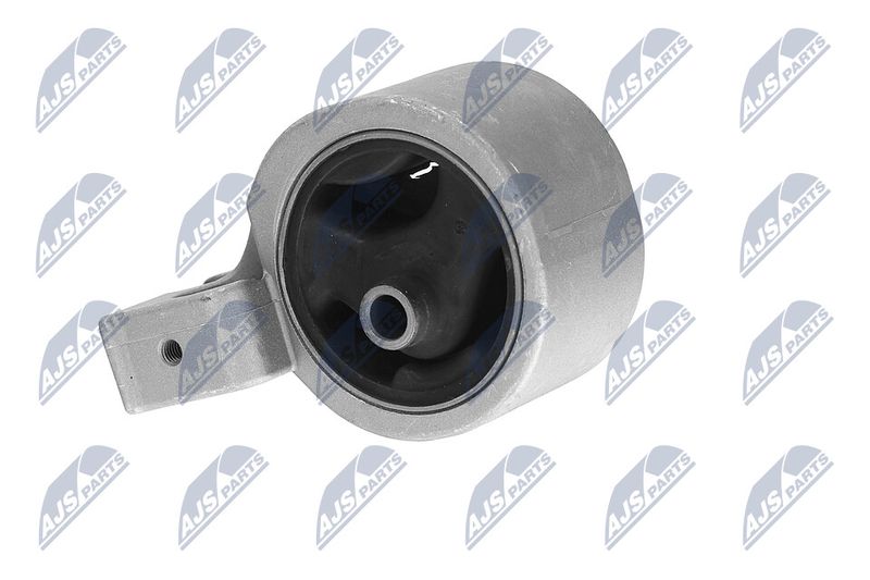 Paigutus, Mootor, NTY ZPS-HY-504