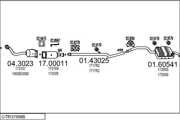 CITR37998B.JPG