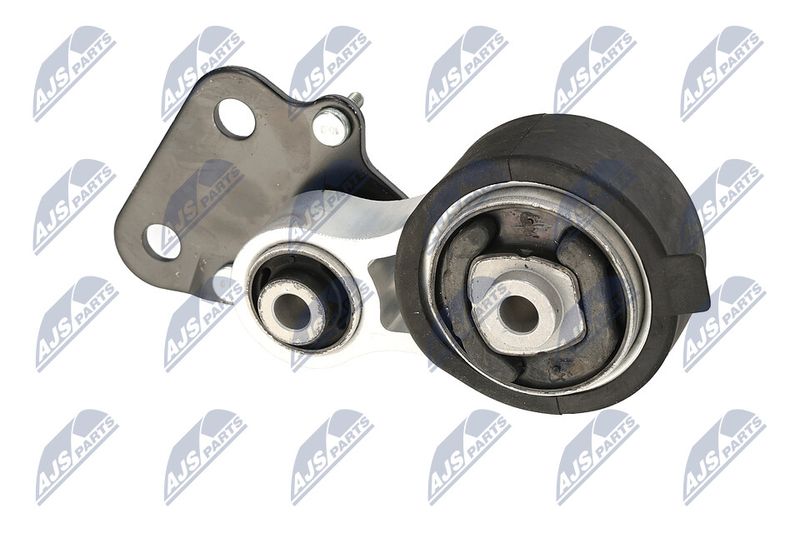 Paigutus, Mootor, NTY ZPS-CH-078