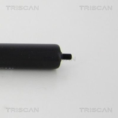 TRIS8710615117100_2.JPG