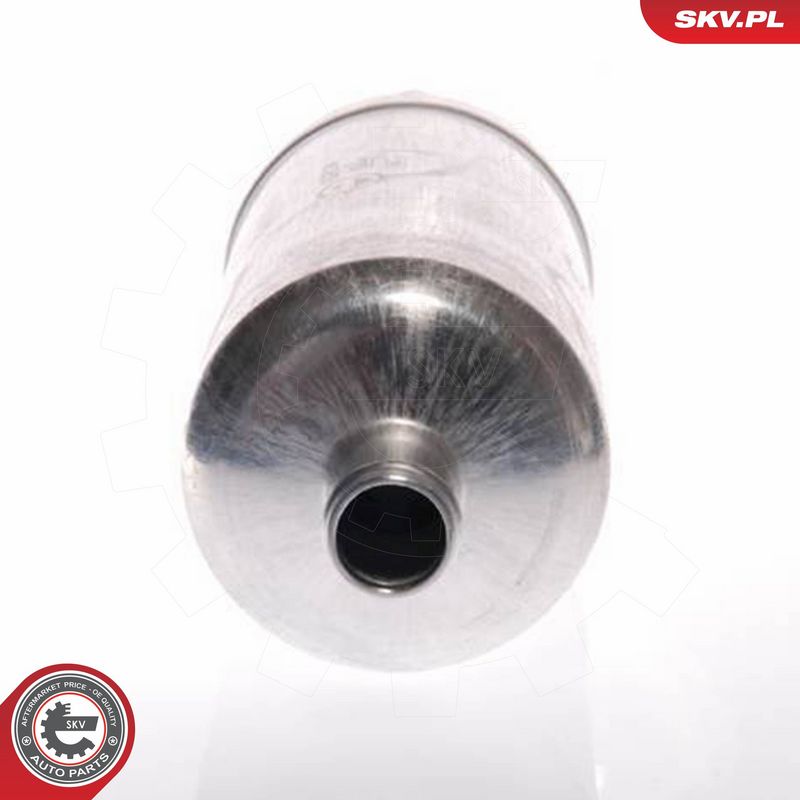 ESEN SKV 02SKV010 Fuel Pump