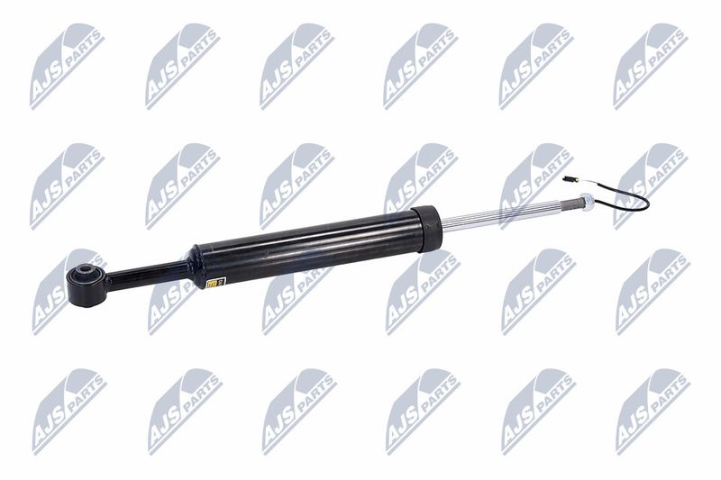 Amort, NTY A-MA-002