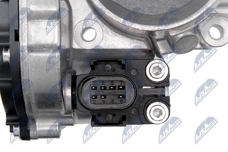 etb-vw-004_7-wm.JPG