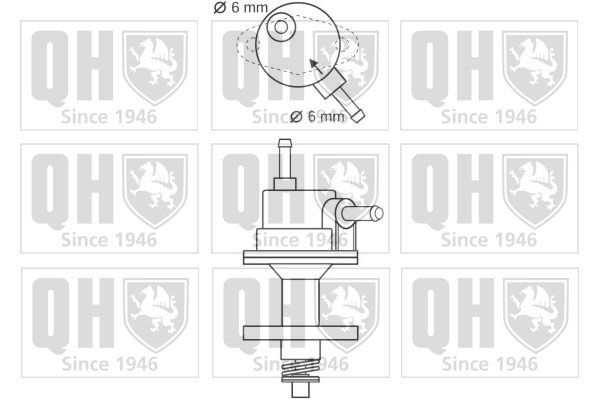 QH_QFP78.JPG