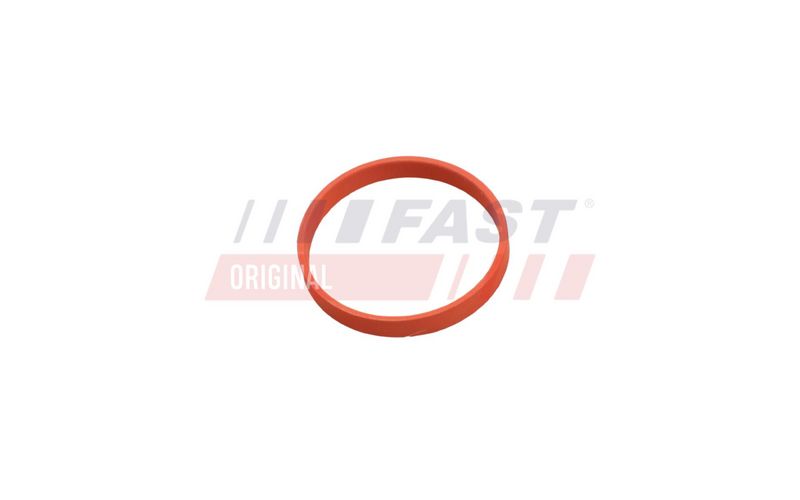 Tihend, EGR-klapp, FAST FT50628
