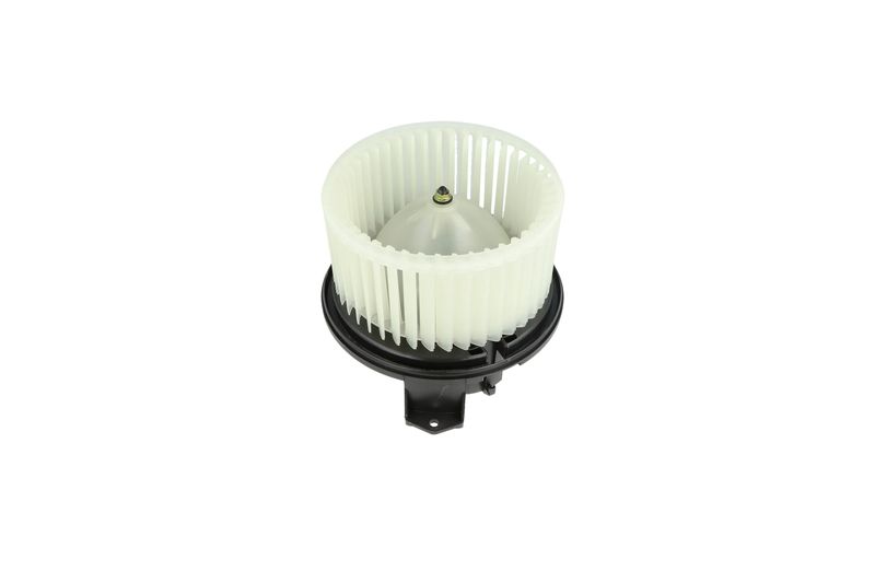 Salongipuhur, NRF 34345