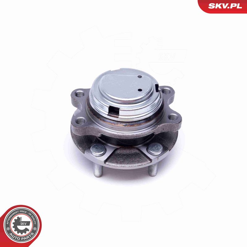 ESEN SKV 29SKV415 Wheel Bearing Kit
