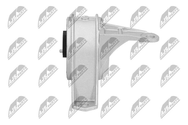 Paigutus, Mootor, NTY ZPS-PL-001