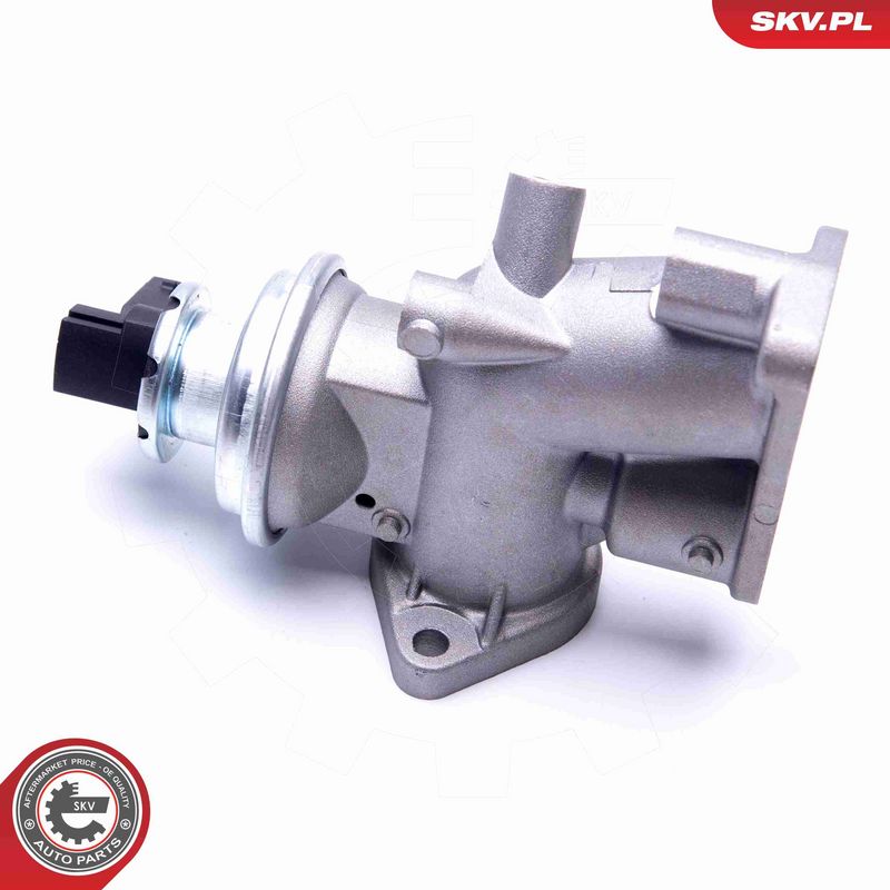 ESEN SKV 14SKV181 EGR Valve