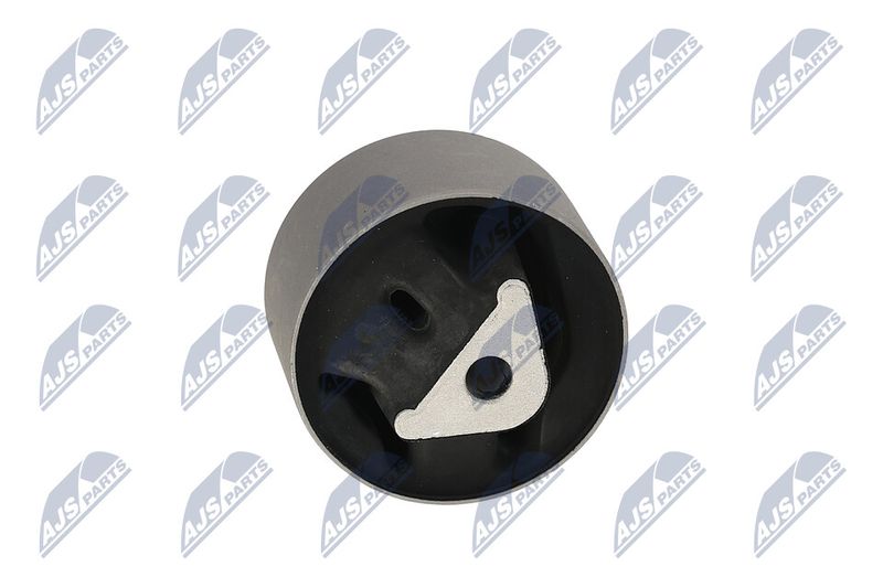 Paigutus, Mootor, NTY ZPS-CH-039