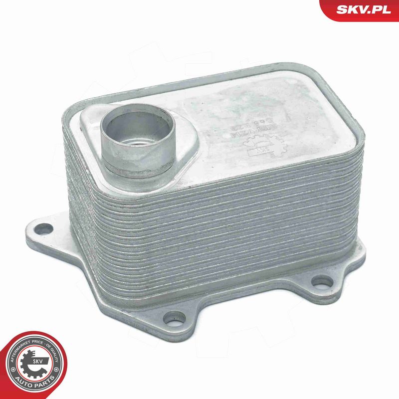 Prekės atitinka OEM kodą: 06K117021D