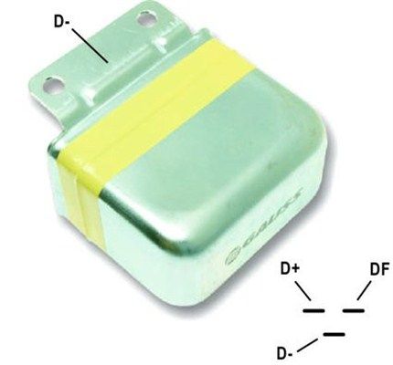 DDF_AMP0013_WR.JPG