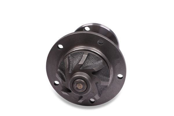 HEPU P0120 Water Pump, engine cooling