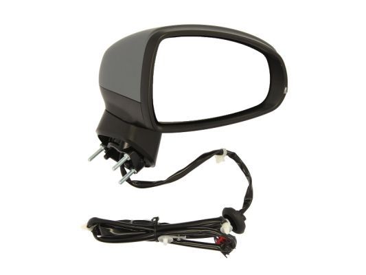 BLIC 5402-25-044362P Exterior Mirror