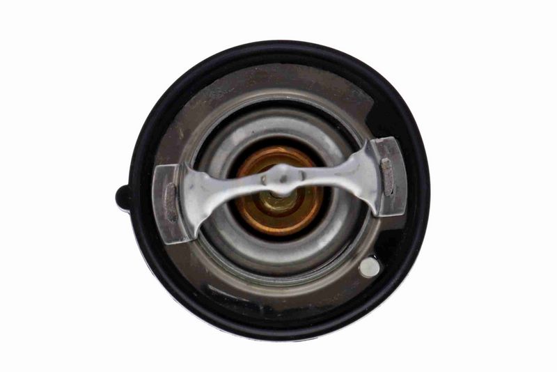 ACKOJA A38-99-0005 Thermostat, coolant
