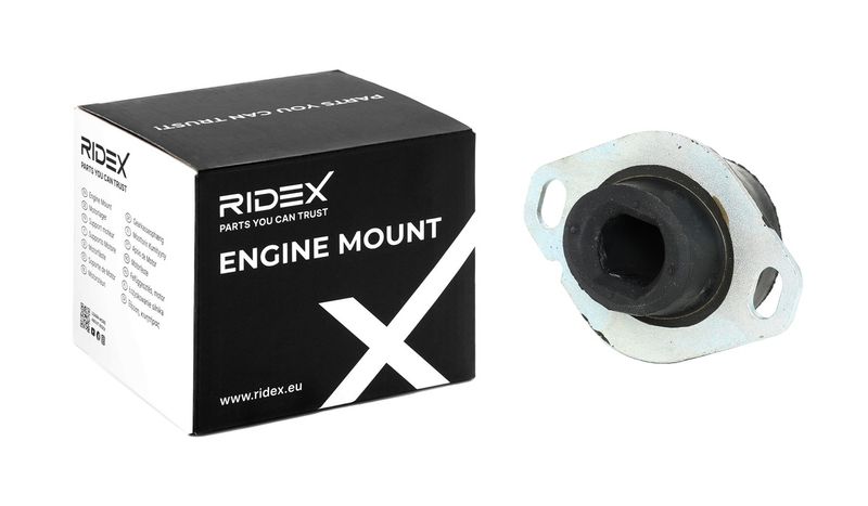 окачване, двигател RIDEX