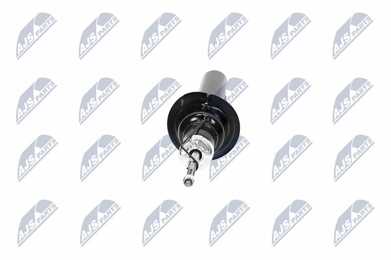 Amort, NTY A-CH-065