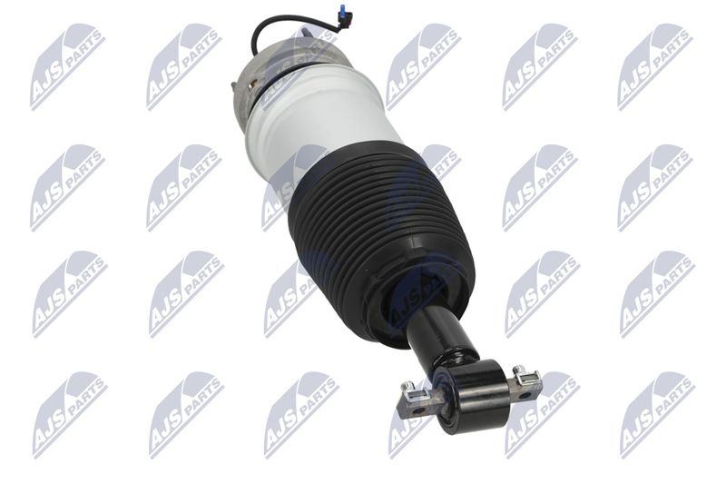 Amort, NTY A-CH-098