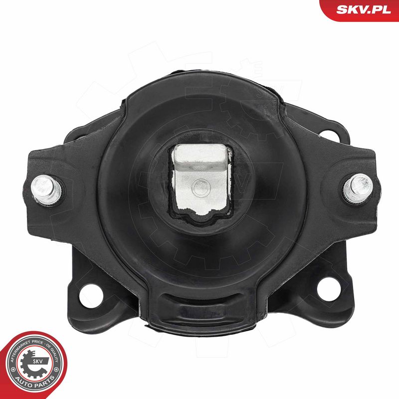 Paigutus, Mootor, ESEN SKV 75SKV319