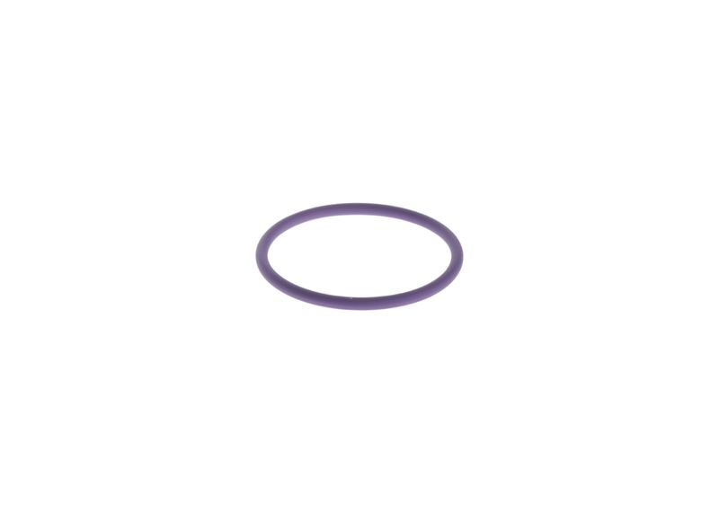 BOSCH F 00H N35 738 Rubber Ring