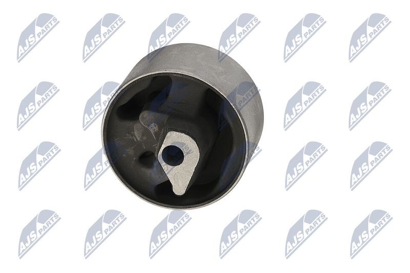 Paigutus, Mootor, NTY ZPS-CH-040