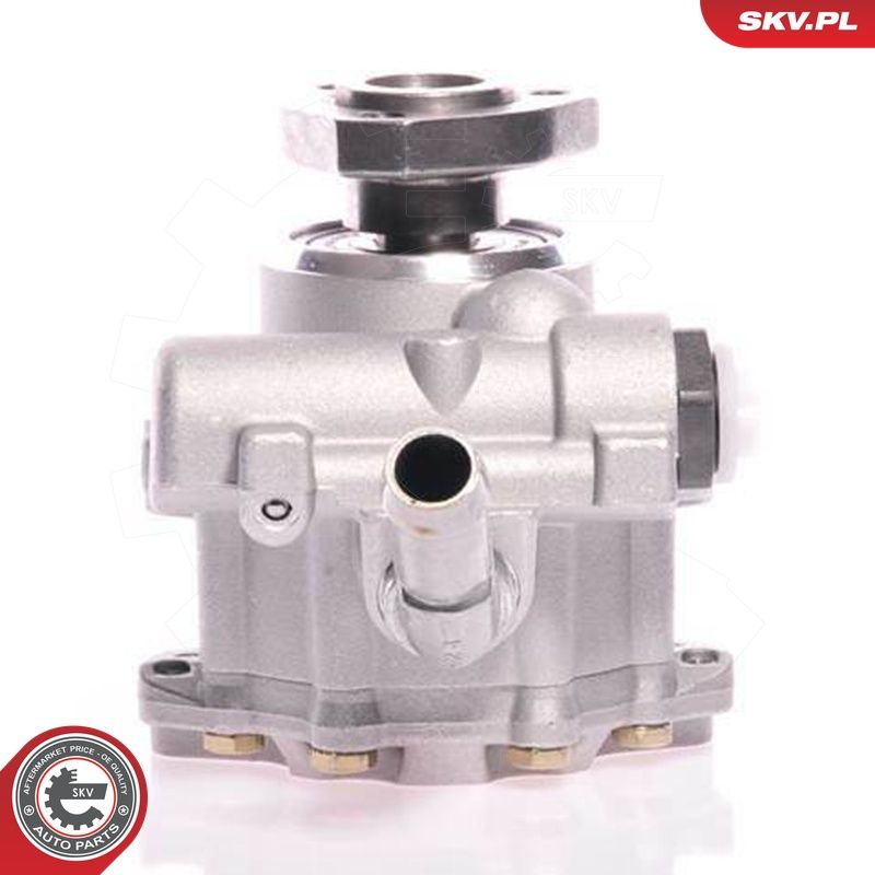 Hüdraulikapump, roolimine, ESEN SKV 10SKV165