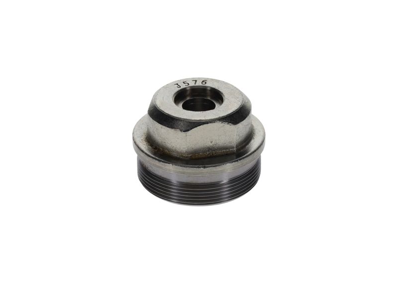 Surub F 002 D13 576 BOSCH