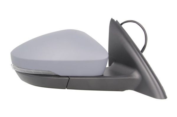 BLIC 5402-43-2002354P Exterior Mirror