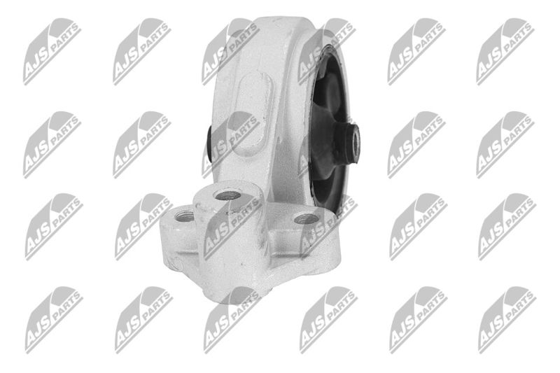 Paigutus, Mootor, NTY ZPS-KA-312