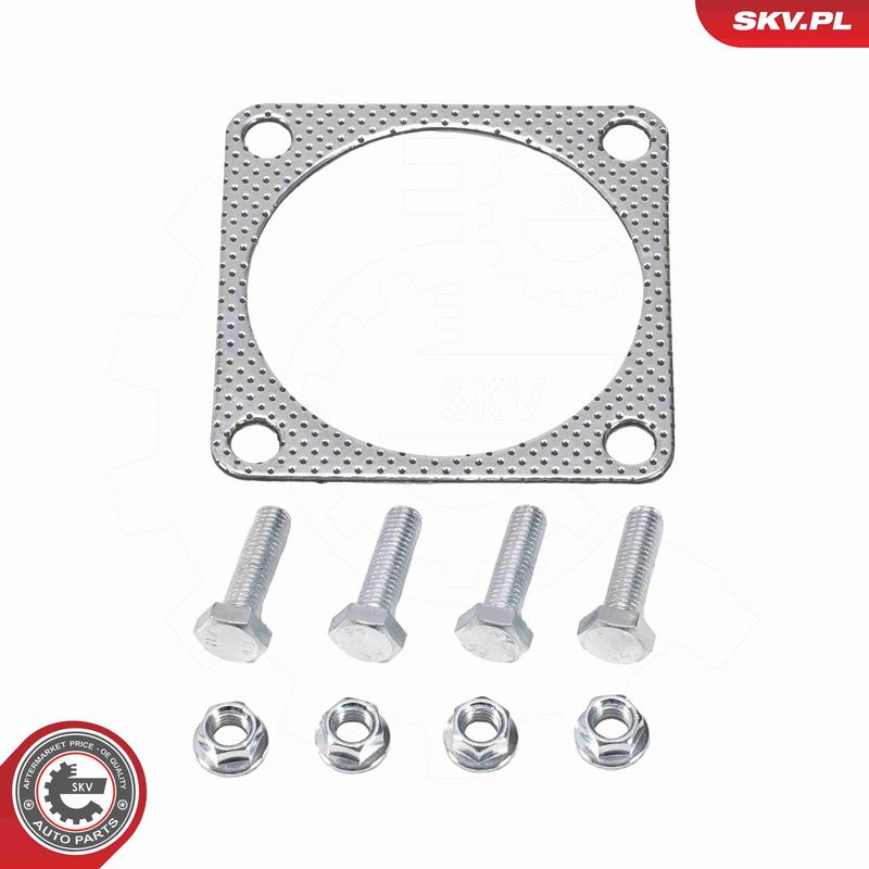 ESEN SKV 62SKV137 Catalytic Converter
