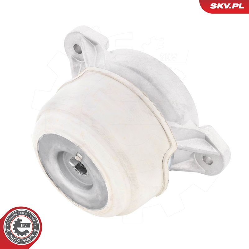 Paigutus, Mootor, ESEN SKV 75SKV297