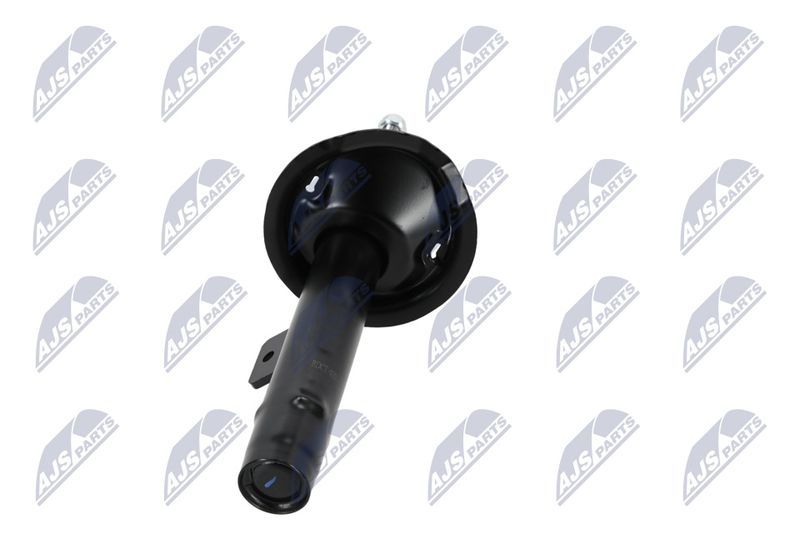 Amort, NTY A-CT-020